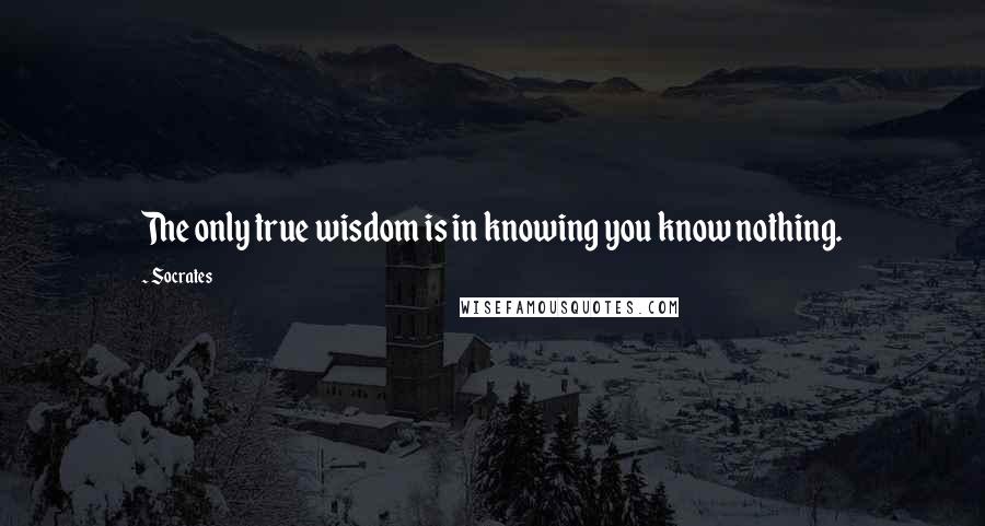 Socrates Quotes: The only true wisdom is in knowing you know nothing.