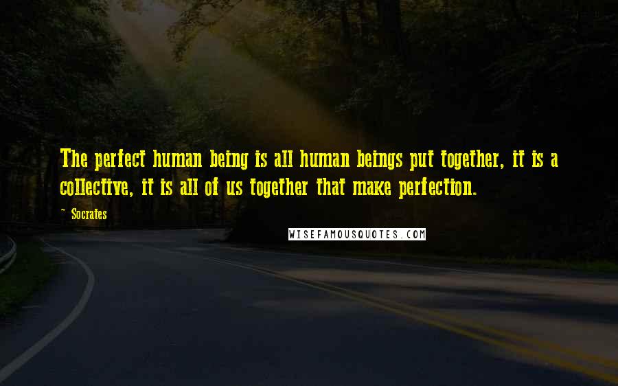 Socrates Quotes: The perfect human being is all human beings put together, it is a collective, it is all of us together that make perfection.