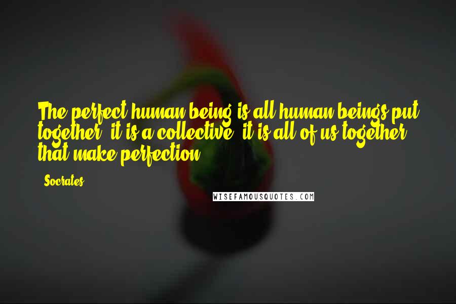 Socrates Quotes: The perfect human being is all human beings put together, it is a collective, it is all of us together that make perfection.