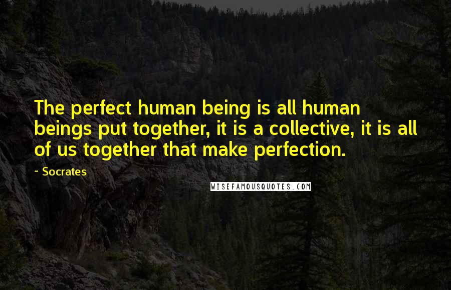 Socrates Quotes: The perfect human being is all human beings put together, it is a collective, it is all of us together that make perfection.