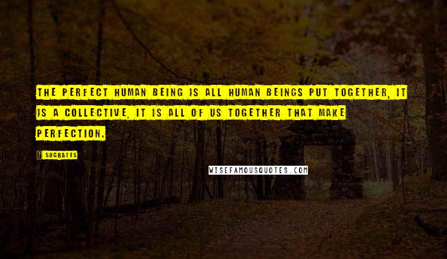 Socrates Quotes: The perfect human being is all human beings put together, it is a collective, it is all of us together that make perfection.