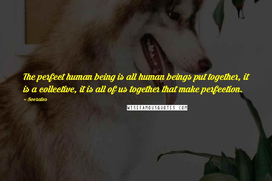 Socrates Quotes: The perfect human being is all human beings put together, it is a collective, it is all of us together that make perfection.