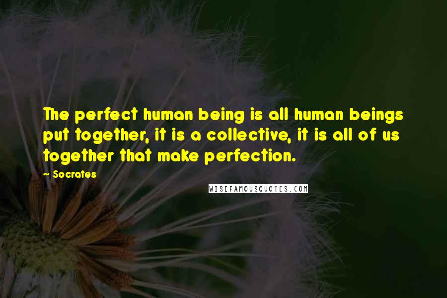 Socrates Quotes: The perfect human being is all human beings put together, it is a collective, it is all of us together that make perfection.