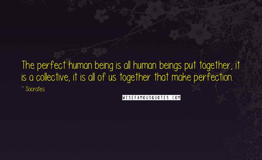 Socrates Quotes: The perfect human being is all human beings put together, it is a collective, it is all of us together that make perfection.