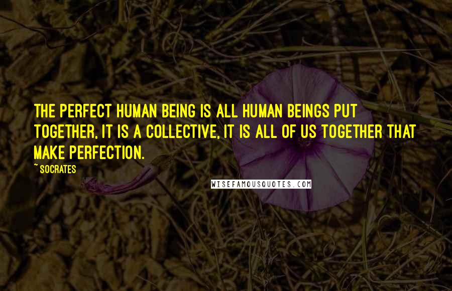 Socrates Quotes: The perfect human being is all human beings put together, it is a collective, it is all of us together that make perfection.