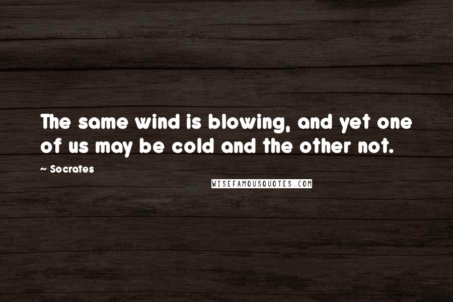 Socrates Quotes: The same wind is blowing, and yet one of us may be cold and the other not.