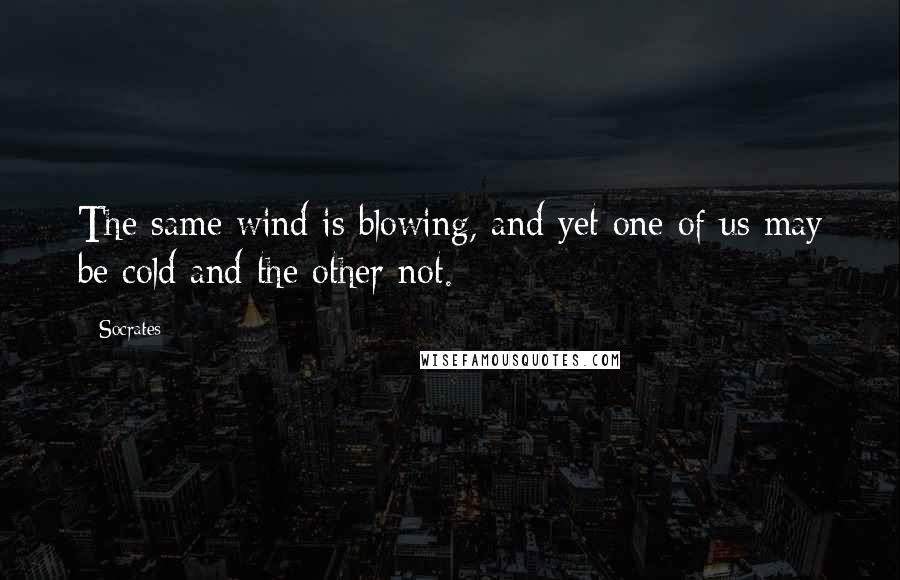 Socrates Quotes: The same wind is blowing, and yet one of us may be cold and the other not.