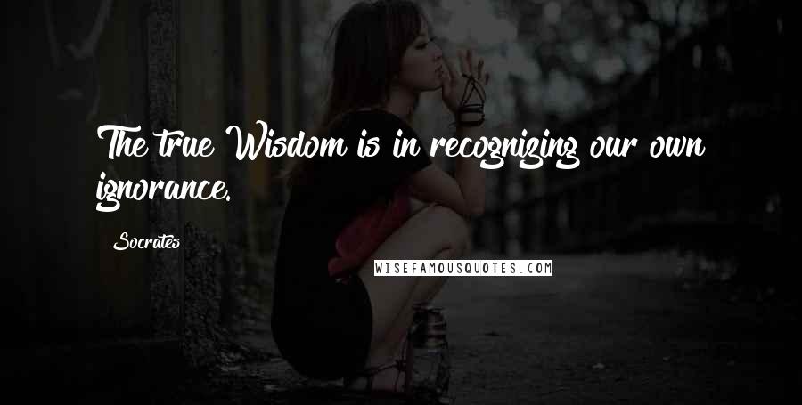 Socrates Quotes: The true Wisdom is in recognizing our own ignorance.