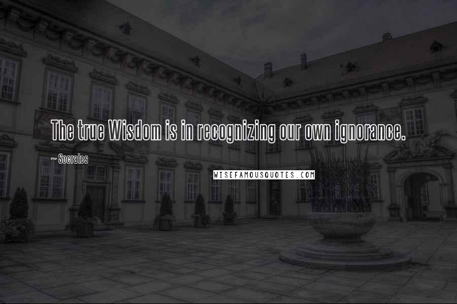 Socrates Quotes: The true Wisdom is in recognizing our own ignorance.