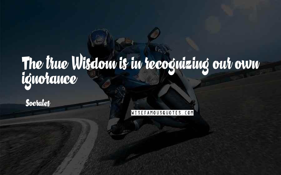 Socrates Quotes: The true Wisdom is in recognizing our own ignorance.