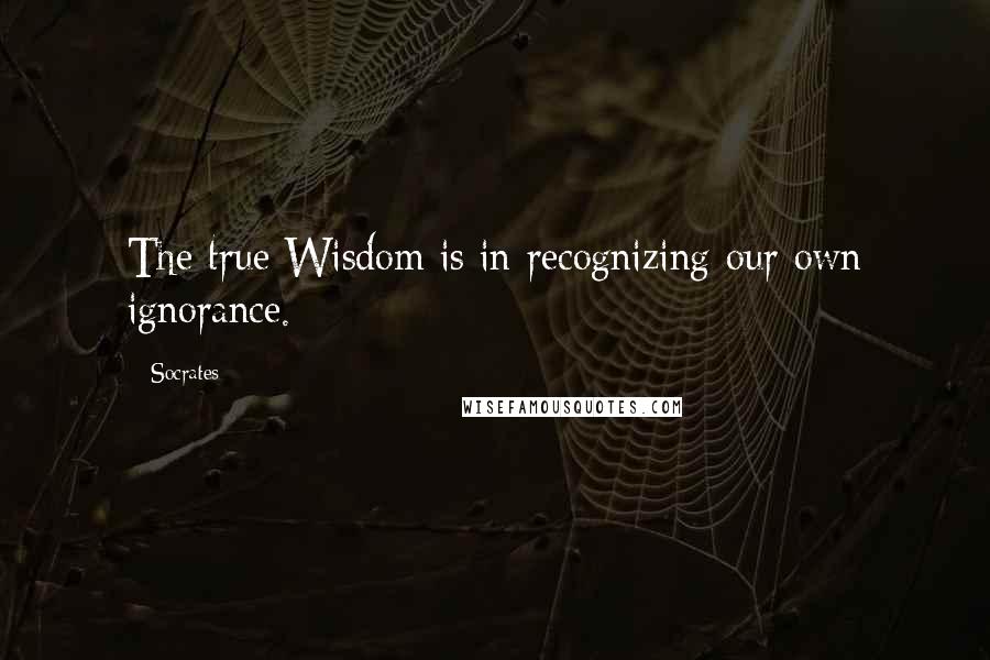 Socrates Quotes: The true Wisdom is in recognizing our own ignorance.