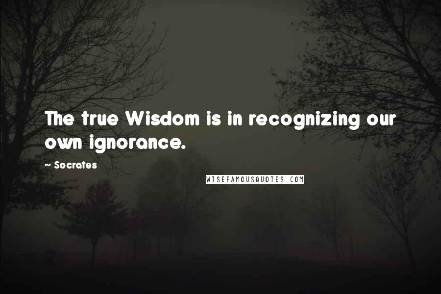 Socrates Quotes: The true Wisdom is in recognizing our own ignorance.