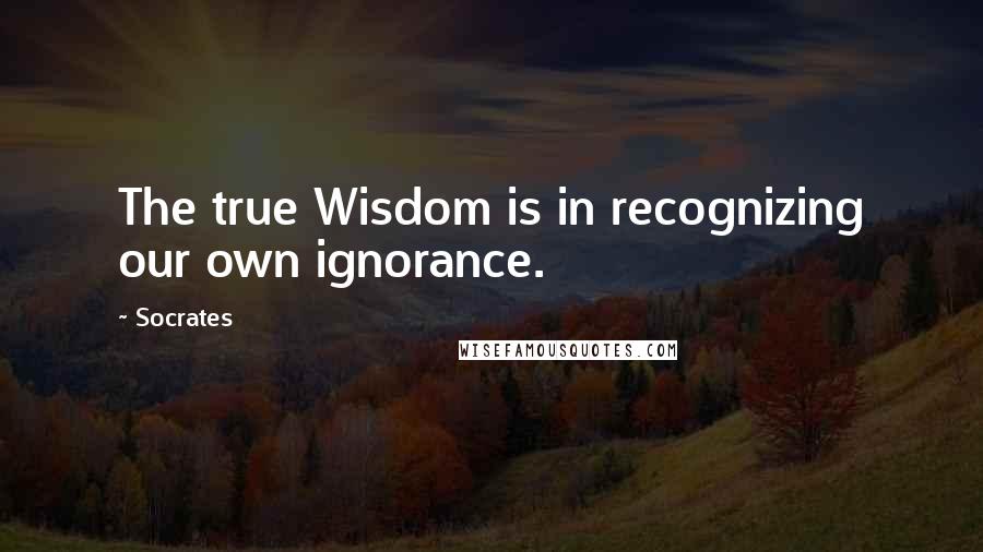 Socrates Quotes: The true Wisdom is in recognizing our own ignorance.