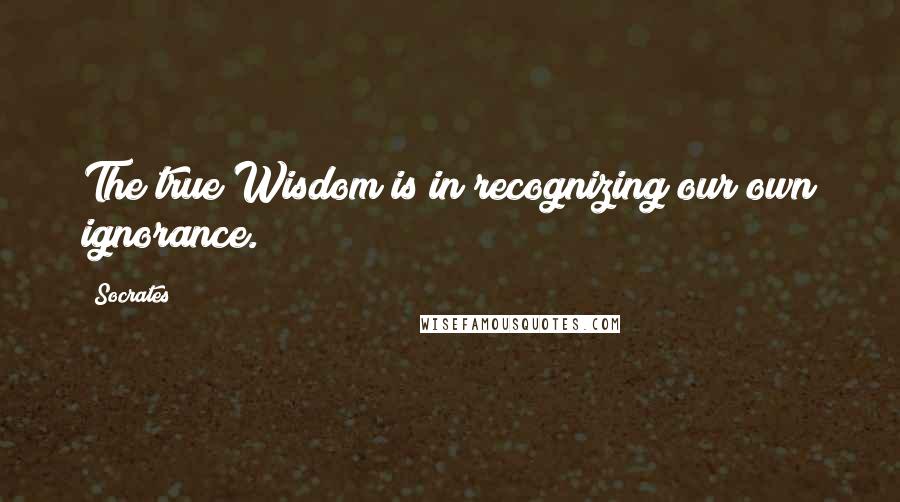 Socrates Quotes: The true Wisdom is in recognizing our own ignorance.