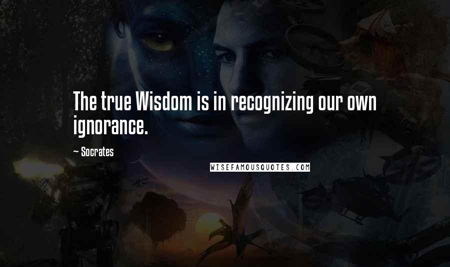 Socrates Quotes: The true Wisdom is in recognizing our own ignorance.