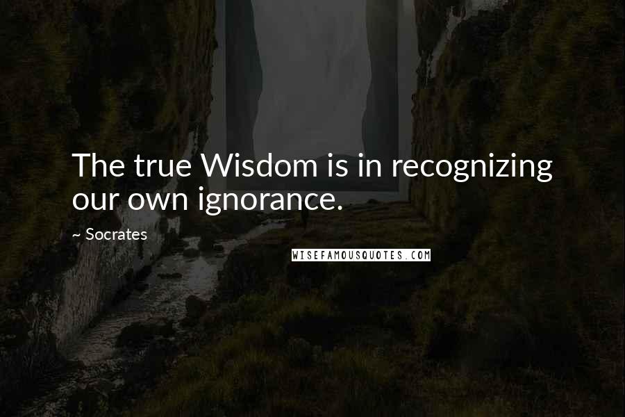 Socrates Quotes: The true Wisdom is in recognizing our own ignorance.