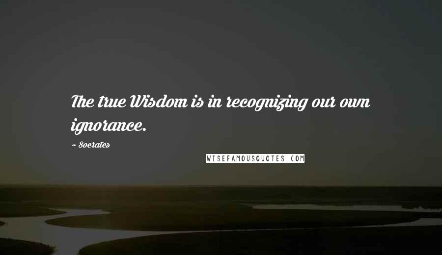 Socrates Quotes: The true Wisdom is in recognizing our own ignorance.