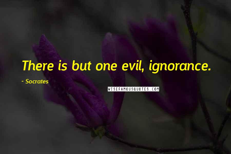 Socrates Quotes: There is but one evil, ignorance.