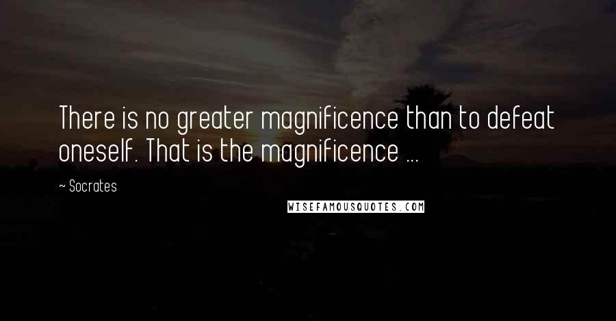 Socrates Quotes: There is no greater magnificence than to defeat oneself. That is the magnificence ...