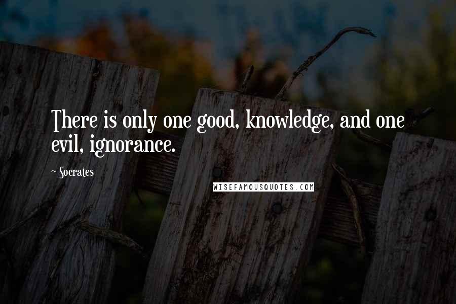 Socrates Quotes: There is only one good, knowledge, and one evil, ignorance.