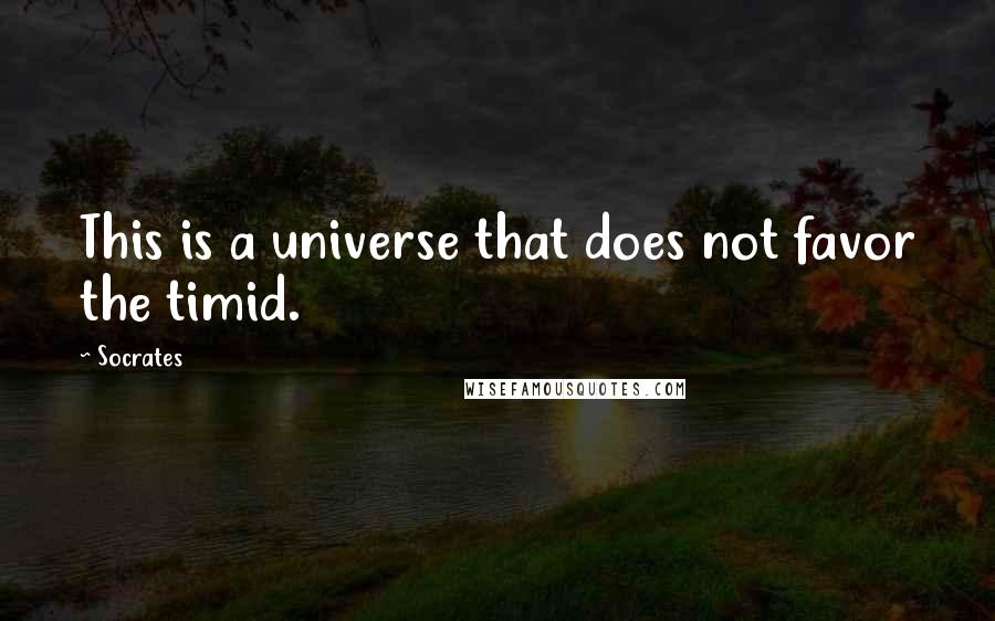 Socrates Quotes: This is a universe that does not favor the timid.