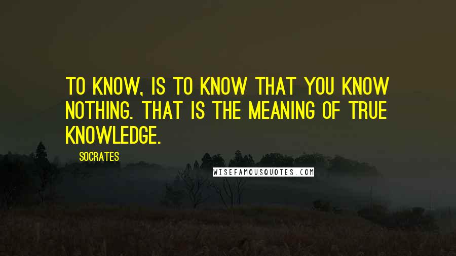 Socrates Quotes: To know, is to know that you know nothing. That is the meaning of true knowledge.