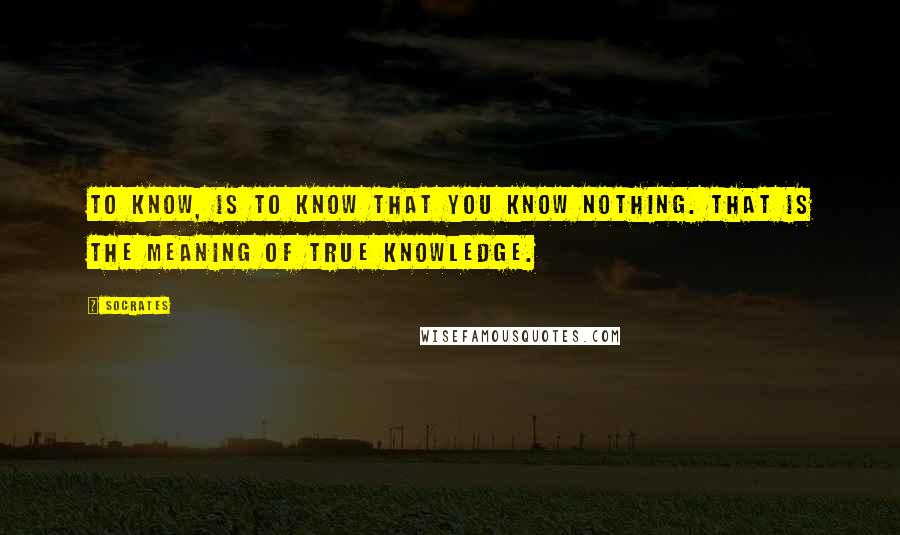 Socrates Quotes: To know, is to know that you know nothing. That is the meaning of true knowledge.