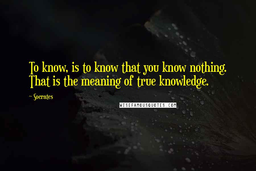 Socrates Quotes: To know, is to know that you know nothing. That is the meaning of true knowledge.