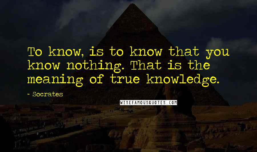 Socrates Quotes: To know, is to know that you know nothing. That is the meaning of true knowledge.