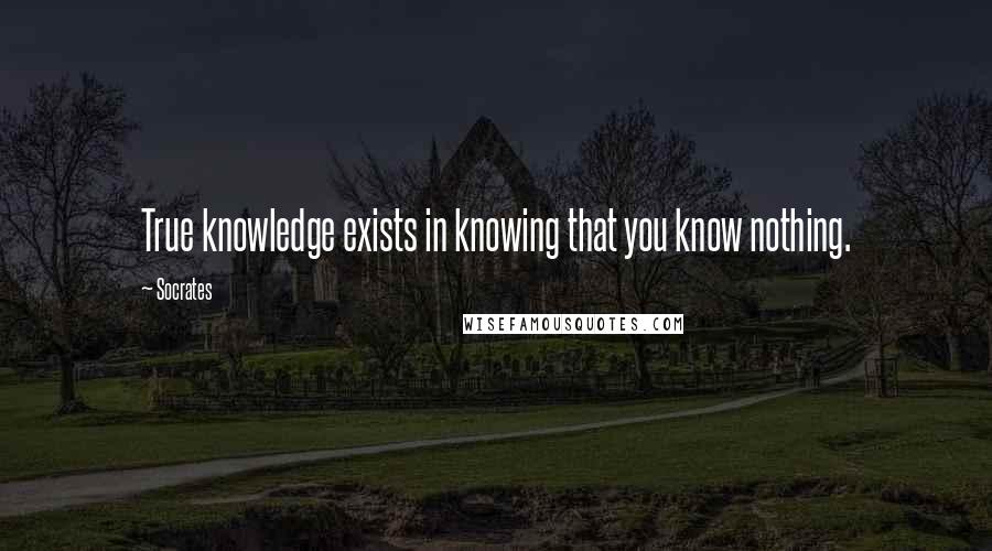 Socrates Quotes: True knowledge exists in knowing that you know nothing.