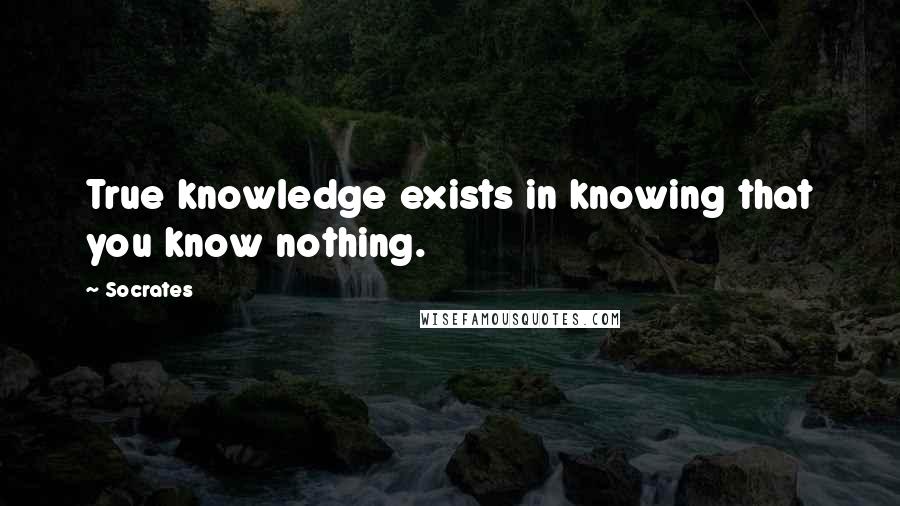 Socrates Quotes: True knowledge exists in knowing that you know nothing.