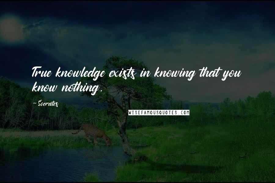 Socrates Quotes: True knowledge exists in knowing that you know nothing.