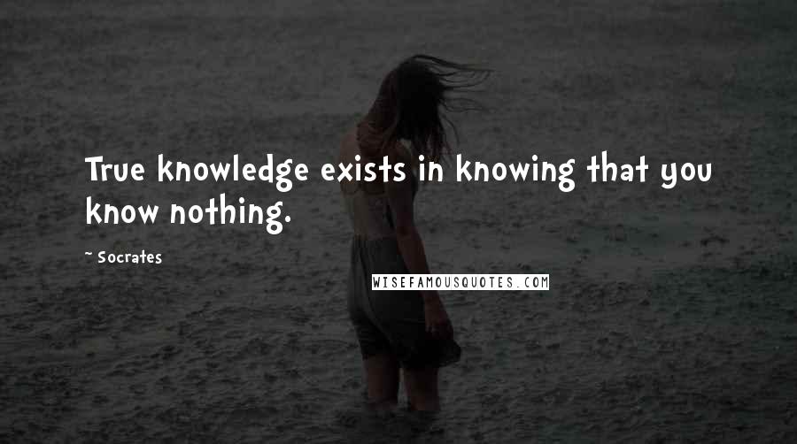 Socrates Quotes: True knowledge exists in knowing that you know nothing.