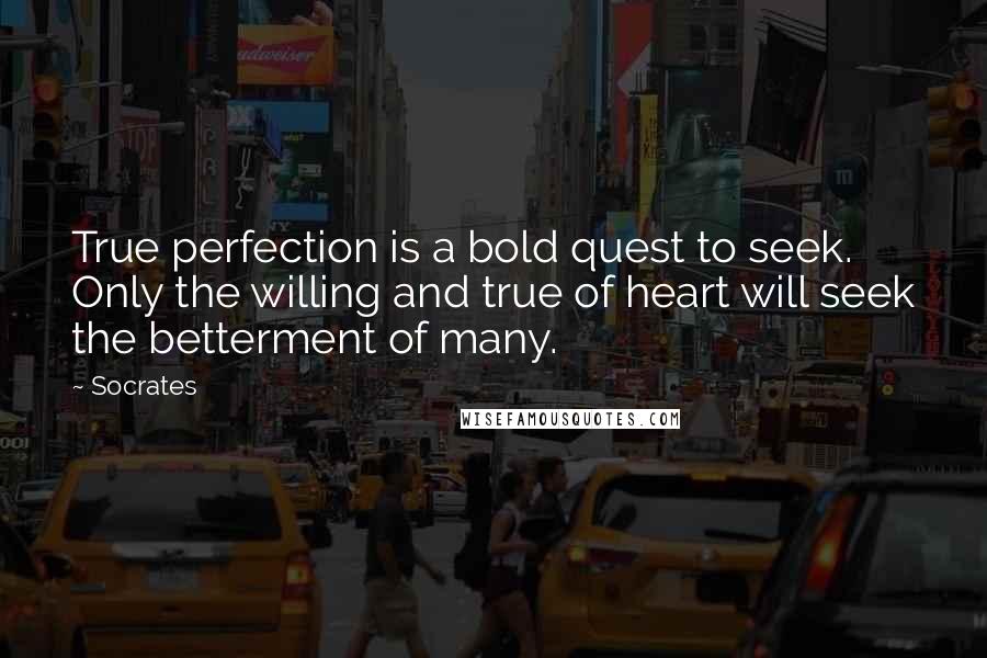 Socrates Quotes: True perfection is a bold quest to seek. Only the willing and true of heart will seek the betterment of many.