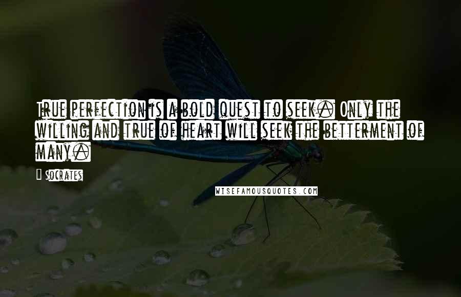Socrates Quotes: True perfection is a bold quest to seek. Only the willing and true of heart will seek the betterment of many.