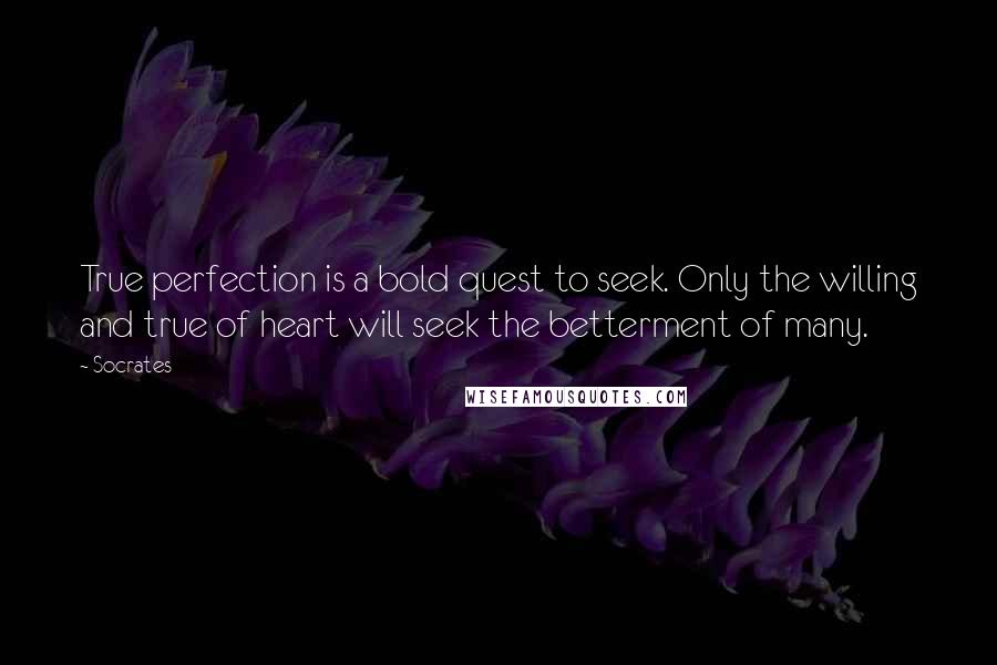 Socrates Quotes: True perfection is a bold quest to seek. Only the willing and true of heart will seek the betterment of many.