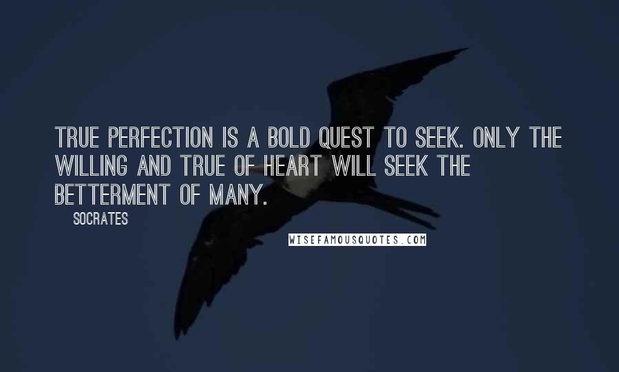 Socrates Quotes: True perfection is a bold quest to seek. Only the willing and true of heart will seek the betterment of many.
