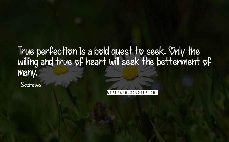Socrates Quotes: True perfection is a bold quest to seek. Only the willing and true of heart will seek the betterment of many.