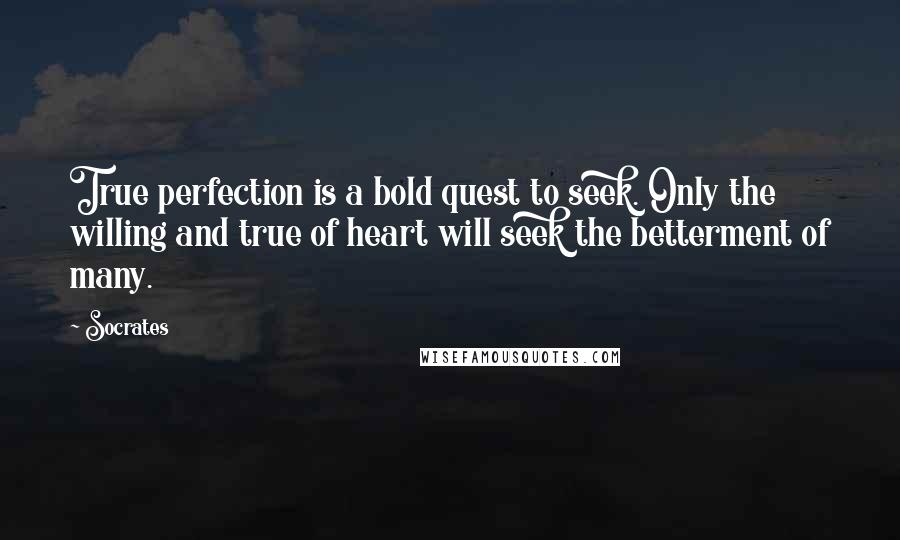 Socrates Quotes: True perfection is a bold quest to seek. Only the willing and true of heart will seek the betterment of many.