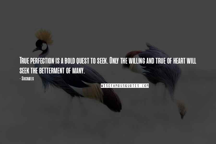 Socrates Quotes: True perfection is a bold quest to seek. Only the willing and true of heart will seek the betterment of many.
