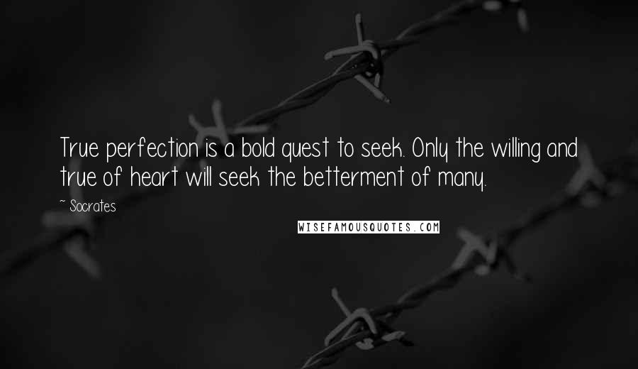 Socrates Quotes: True perfection is a bold quest to seek. Only the willing and true of heart will seek the betterment of many.