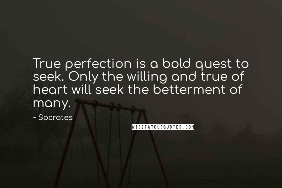 Socrates Quotes: True perfection is a bold quest to seek. Only the willing and true of heart will seek the betterment of many.