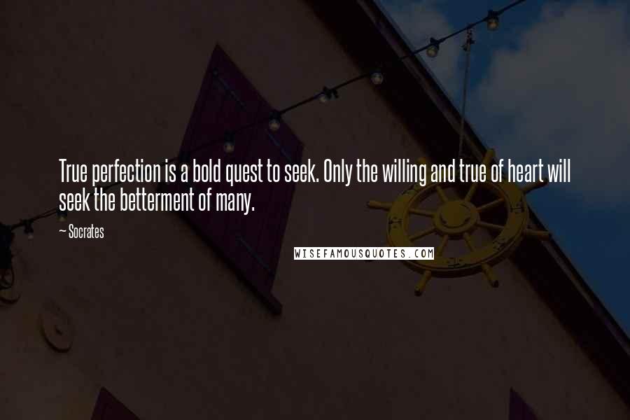 Socrates Quotes: True perfection is a bold quest to seek. Only the willing and true of heart will seek the betterment of many.