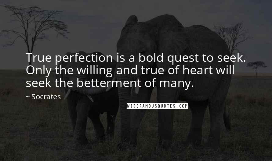 Socrates Quotes: True perfection is a bold quest to seek. Only the willing and true of heart will seek the betterment of many.
