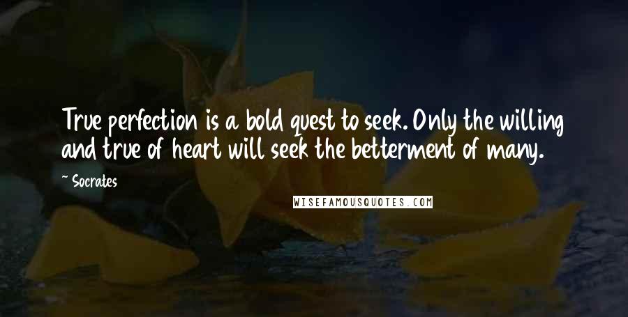 Socrates Quotes: True perfection is a bold quest to seek. Only the willing and true of heart will seek the betterment of many.