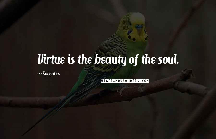Socrates Quotes: Virtue is the beauty of the soul.