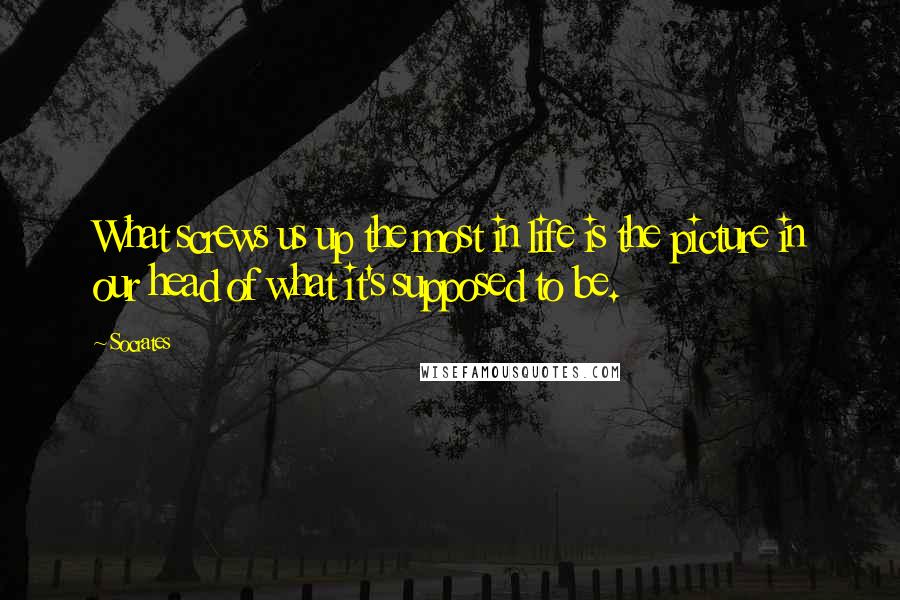 Socrates Quotes: What screws us up the most in life is the picture in our head of what it's supposed to be.