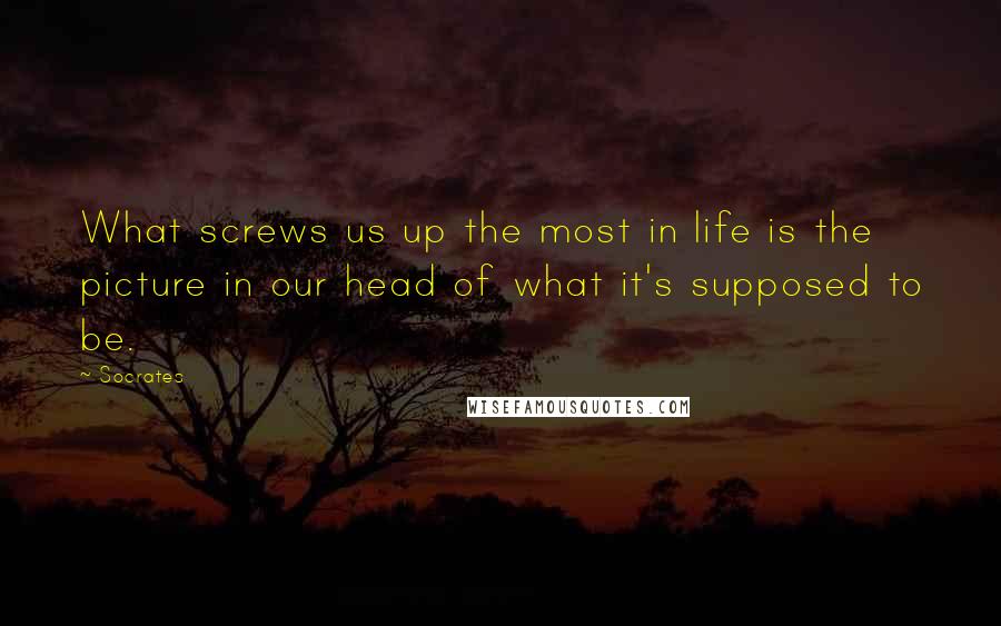 Socrates Quotes: What screws us up the most in life is the picture in our head of what it's supposed to be.