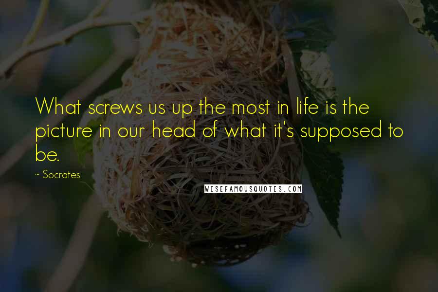 Socrates Quotes: What screws us up the most in life is the picture in our head of what it's supposed to be.