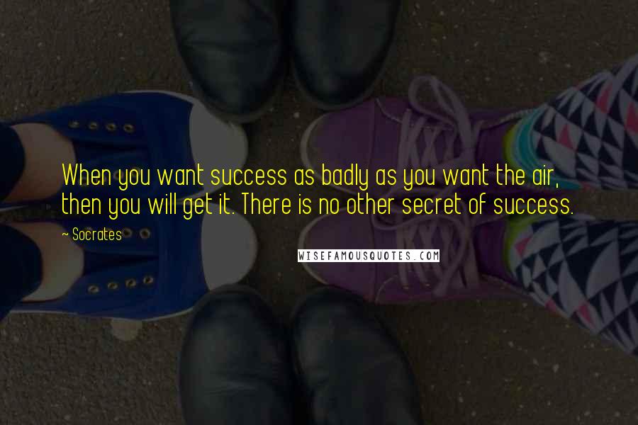 Socrates Quotes: When you want success as badly as you want the air, then you will get it. There is no other secret of success.